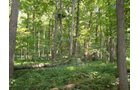 Property photo 31 - 160 Acres Offered in 6 Tracts